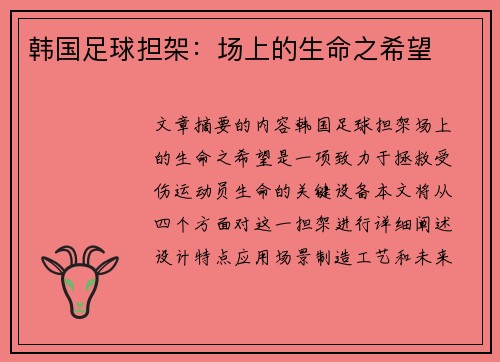韩国足球担架：场上的生命之希望